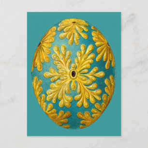 Carte Postale Polyclinum constellatum, Ernst Haeckel Vintage