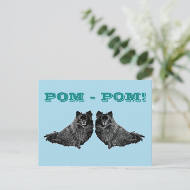 CARTE POSTALE POM-POM  (Debout devant)