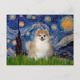 Carte Postale Pomeranian 1 - Nuit étoilée