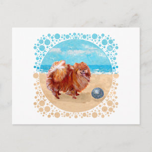 Carte Postale Pomeranian au bord de la mer