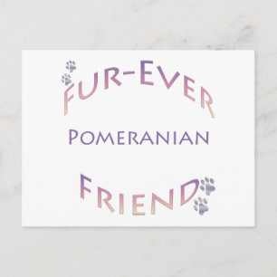 Carte Postale Pomeranian Furever