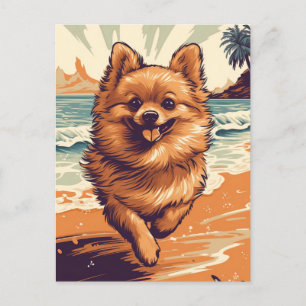 Carte Postale Poméranien à la plage