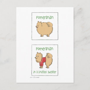 Carte Postale Poméranien dans un chandail nue