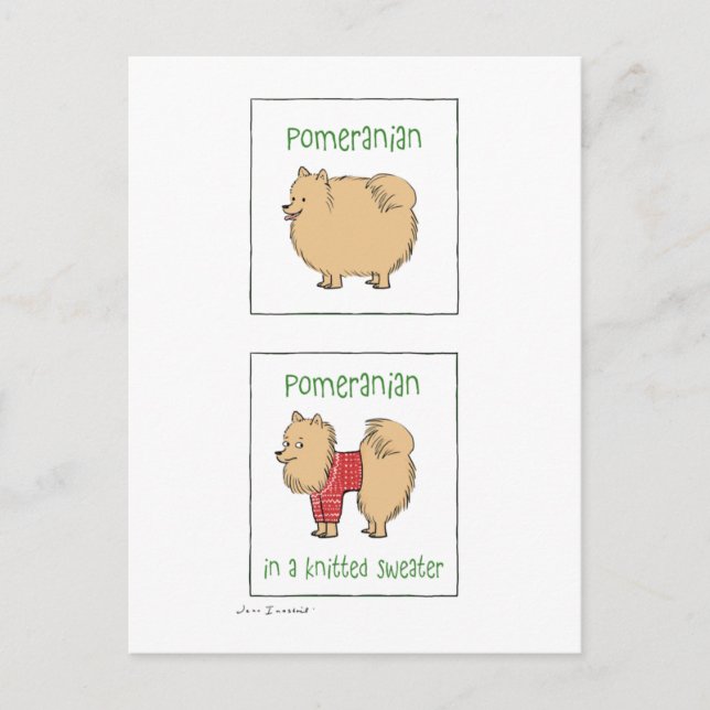 Carte Postale Poméranien dans un chandail nue (Devant)