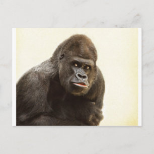 Carte Postale Pomme de Gorille