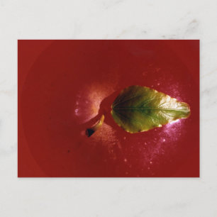 Carte Postale Pomme rouge