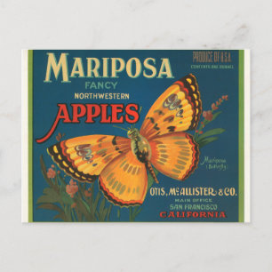 Carte Postale Pommes de Mariposa