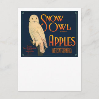 Carte Postale Pommes de marque de Chouette des neiges