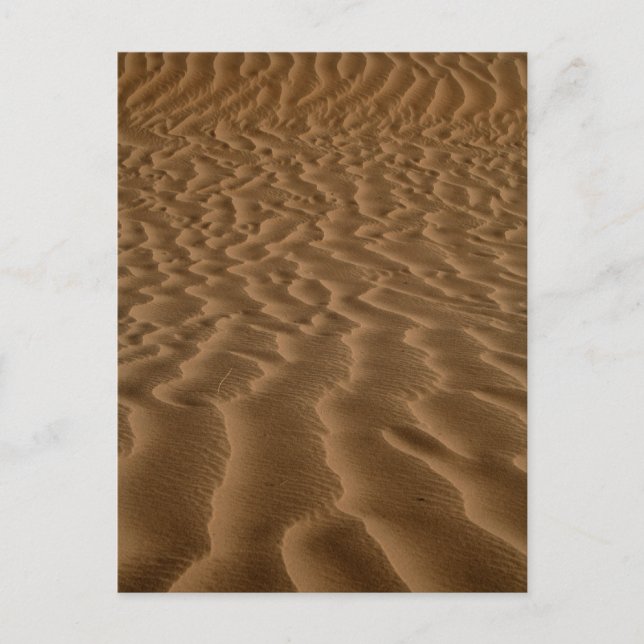 Carte Postale Pommes de sable (Devant)