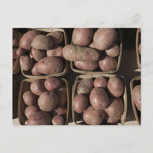 Carte Postale Pommes de terre sur le marché d'un fermier du New  (Devant)