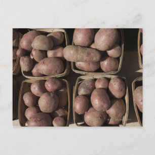 Carte Postale Pommes de terre sur le marché d'un fermier du New 