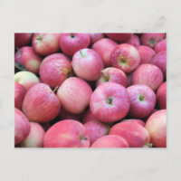 Pommes Fraîches Du Verger
