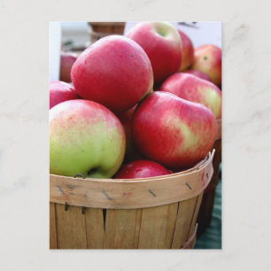 Carte Postale Pommes fraîches en panier au marché des agriculteu