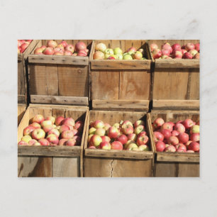Carte Postale Pommes Macintosh Par Crate