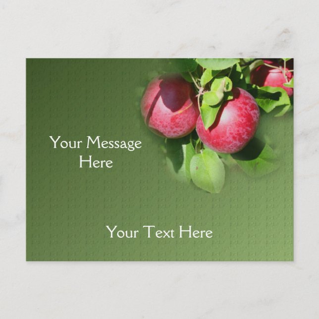 Carte Postale Pommes Red McIntosh Sur La Nature De L'Arbre (Devant)