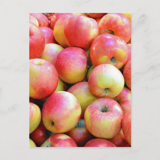 Carte Postale Pommes rouges et jaunes fraîches (Devant)