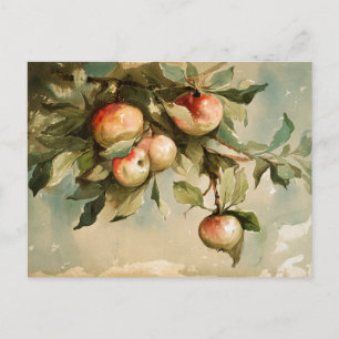 Carte Postale Pommes sur une branche