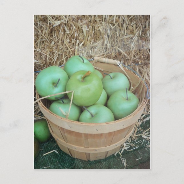Carte Postale Pommes vertes (Devant)