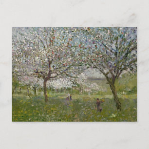 Carte Postale Pommiers en fleurs