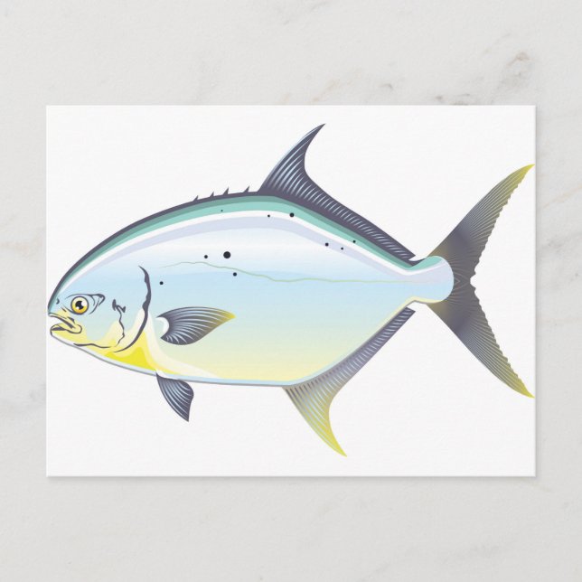 Carte Postale Pompano Floride, illustration du vecteur poisson (Devant)