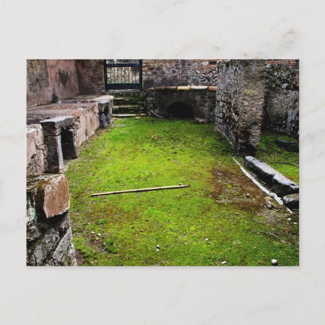 Carte Postale Pompéi - Ruines d'une maison (Devant)