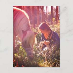 Carte Postale Poney