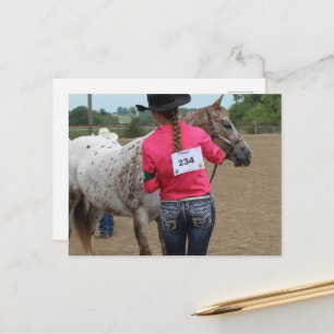 Carte Postale Poney tacheté de l'America Horse Show 234