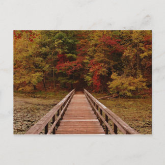 Carte Postale Pont à la chaîne Bays