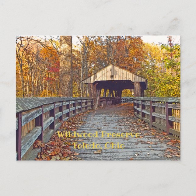 Carte Postale "Pont couvert à Wildwood Preserve En automne" (Devant)