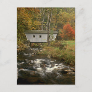 Carte Postale Pont couvert Foliage Kent Falls State Park
