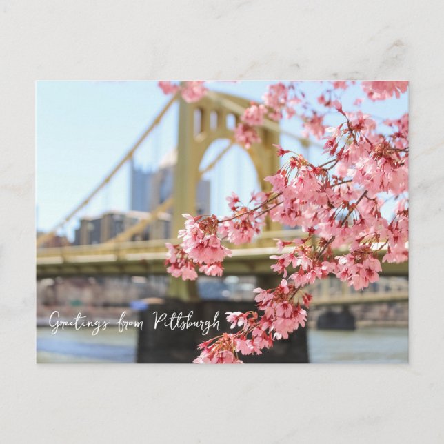 Carte Postale Pont de Pittsburgh et fleurs de cerisiers (Devant)