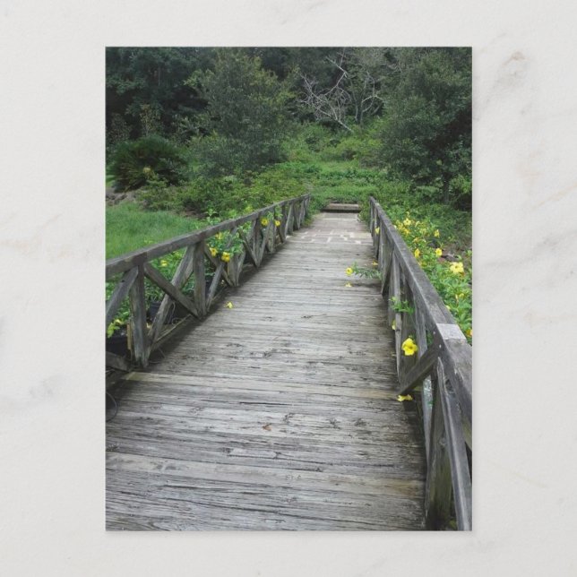 Carte Postale Pont des jardins Bellingrath (Devant)