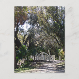 Carte Postale Pont du parc