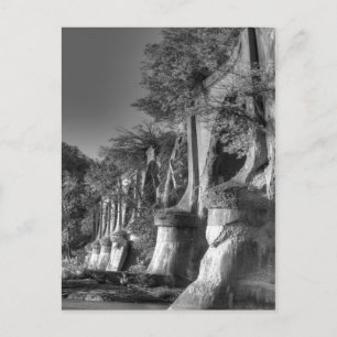 Carte Postale Pont interurbain