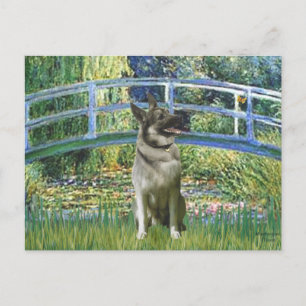 Carte Postale Pont - Norvégien Elkhound