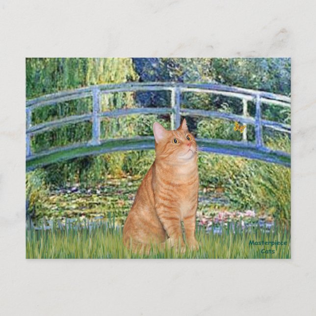 Carte Postale Pont - Orange Tabby SH cat 46 (Devant)
