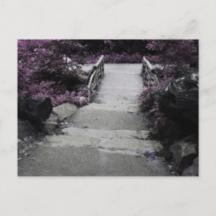 Carte Postale Pont paysage noir et blanc Photo
