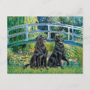 Carte Postale Pont - Retriever à poil plat (deux)