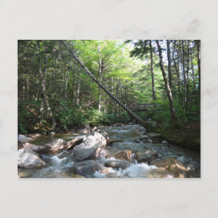 Carte Postale Pont sur la rivière Pemigewasset au New Hampshire