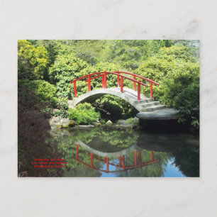 Carte Postale Pont sur l'eau morte