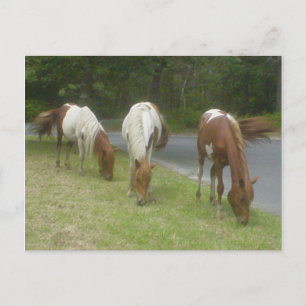 Carte Postale Ponts insouciants