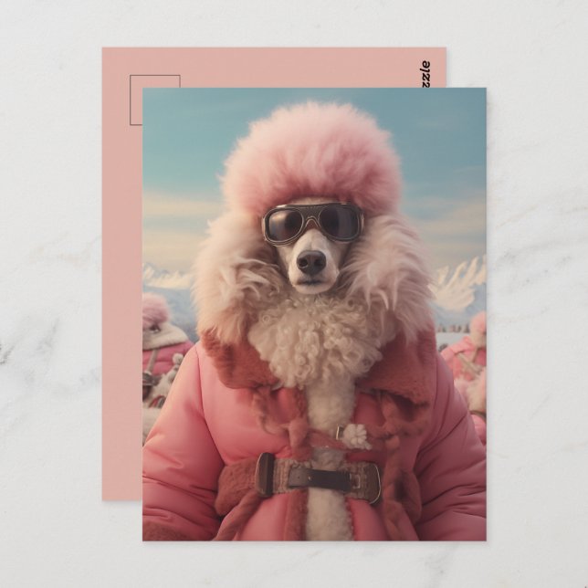 Carte Postale Poodle arctique (Devant / Derrière)