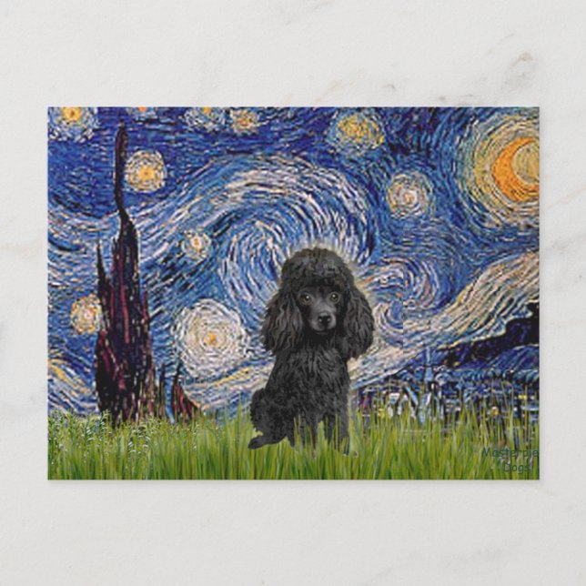 Carte Postale Poodle (noir 1) - Nuit étoilée (Devant)
