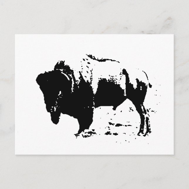 Carte Postale Pop Art noir et blanc Buffalo Silhouette (Devant)