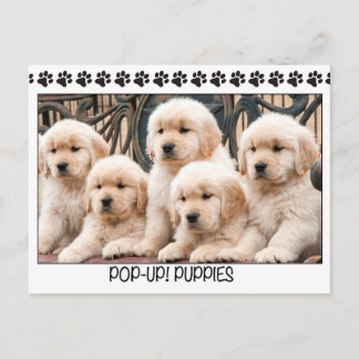 Carte Postale Pop-Up ! Chiens