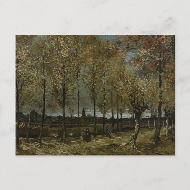 Carte Postale Poplars près de Nuenen par Vincent Van Gogh (Devant)