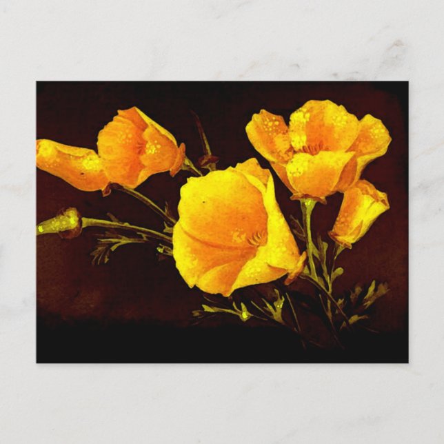 Carte Postale Poppies (Devant)