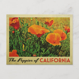 Carte Postale Poppies de Californie