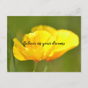 Carte Postale Poppies orange