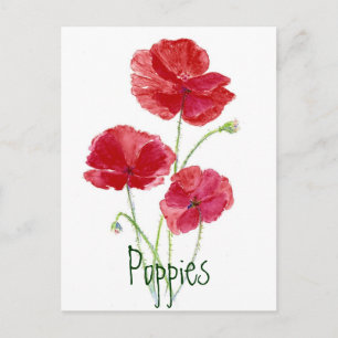 Carte Postale Poppies rouges - Aquarelle